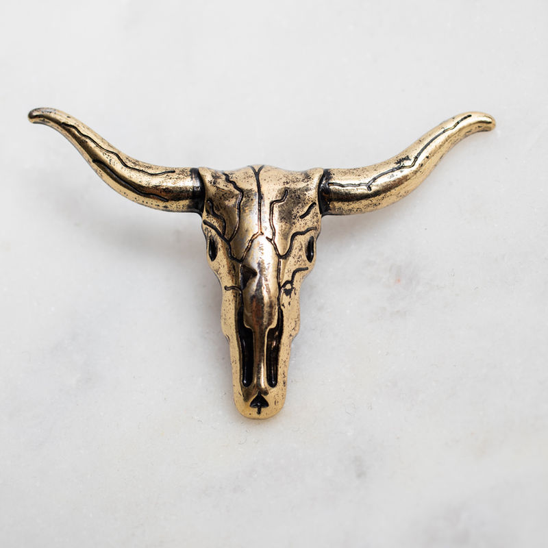 forth + WAYNE Longhorn hat pin